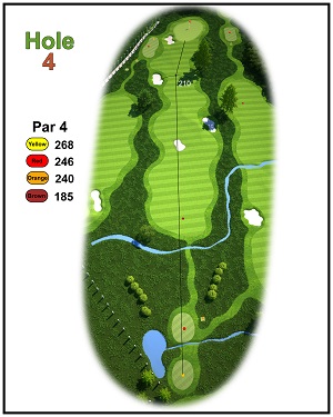 Haras 3D Hole 04 300